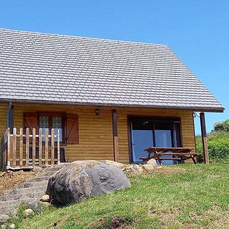 Chalet Sancy Saint-Genes-Champespe Екстер'єр фото